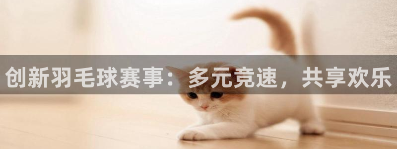 创新羽毛球赛事：多元竞速，共享欢乐