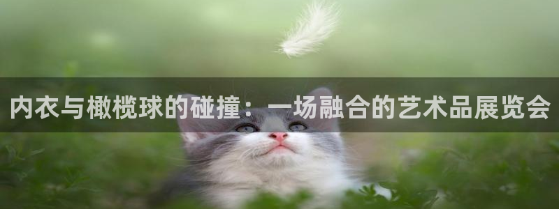 好博体育平台全新升级方案：内衣与橄榄球的碰撞：一场融合的艺术