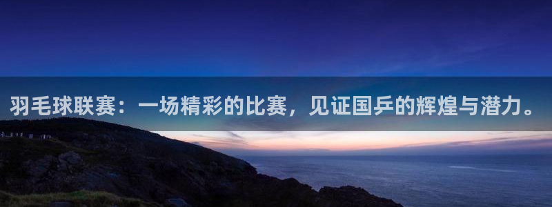 好博体育app官网下载：羽毛球联赛：一场精彩的比赛，见证国乒