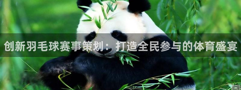 好博体育平台怎么样：创新羽毛球赛事策划：打造全民参与的体育盛