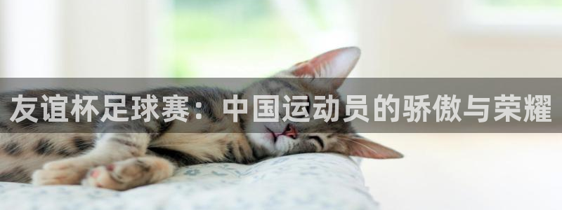 好博体育登录入口官网：友谊杯足球赛：中国运动员的骄傲与荣耀