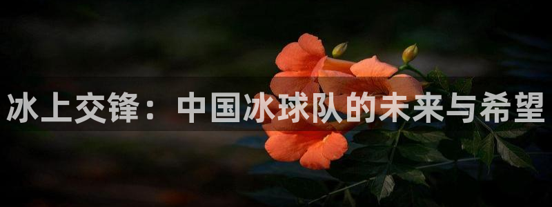 好博体育属于什么档次