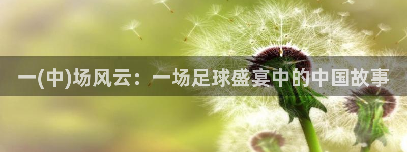 好博体育平台全新升级：一(中)场风云：一场足球盛宴中的中国故